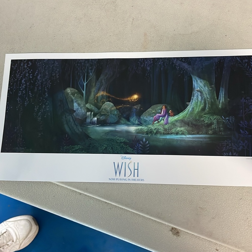 Disney Wish poster